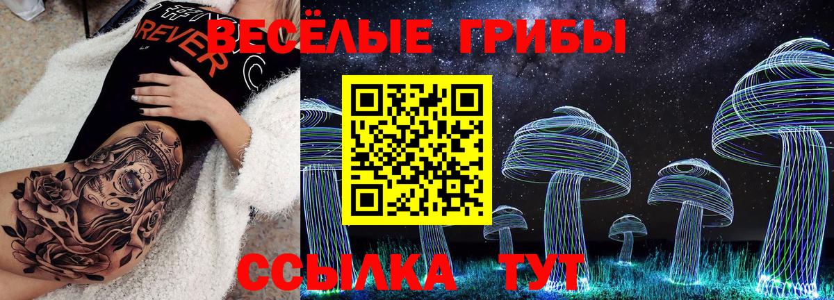 Псилоцибиновые грибы мицелий Рассказово